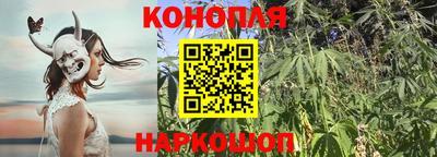 скорость Заволжье