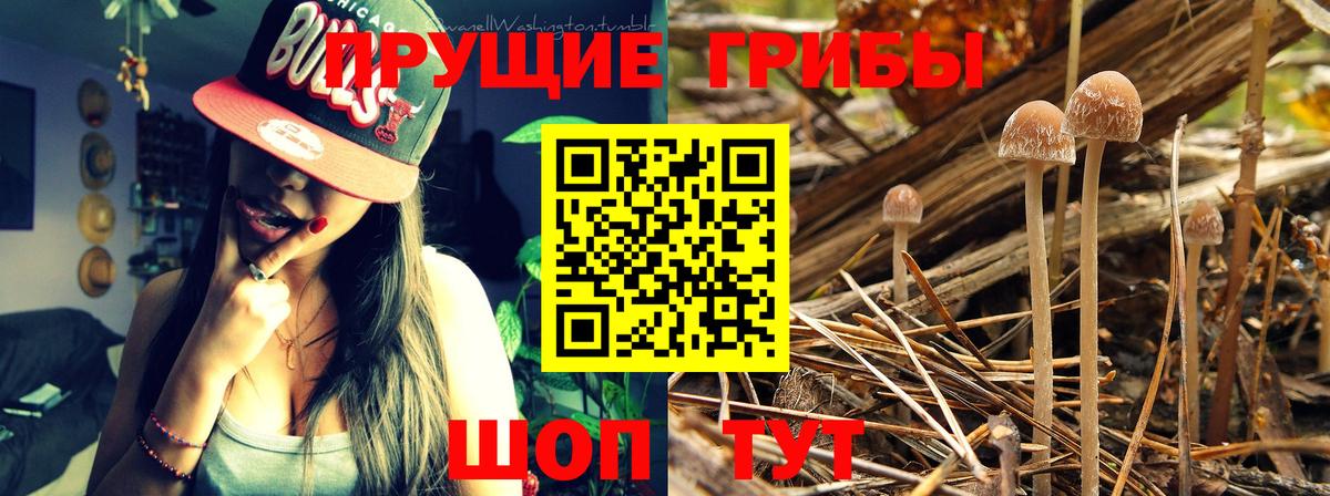 Галлюциногенные грибы мицелий  Вход с VPN  Луга 