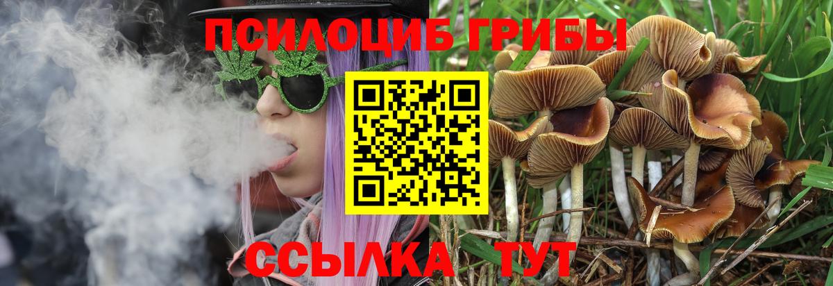 Галлюциногенные грибы мухоморы Луга